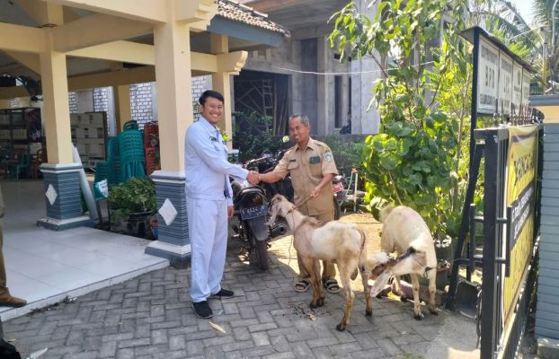 CSR: PT DESI Menyerahkan Hewan Kurban ke Desa Sekitar